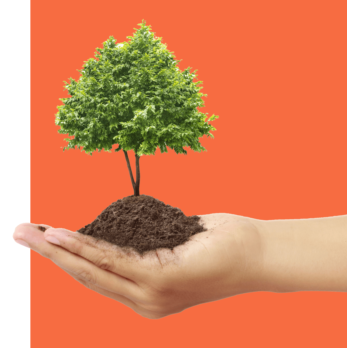 img-sustentabilidad img-sustentabilidad